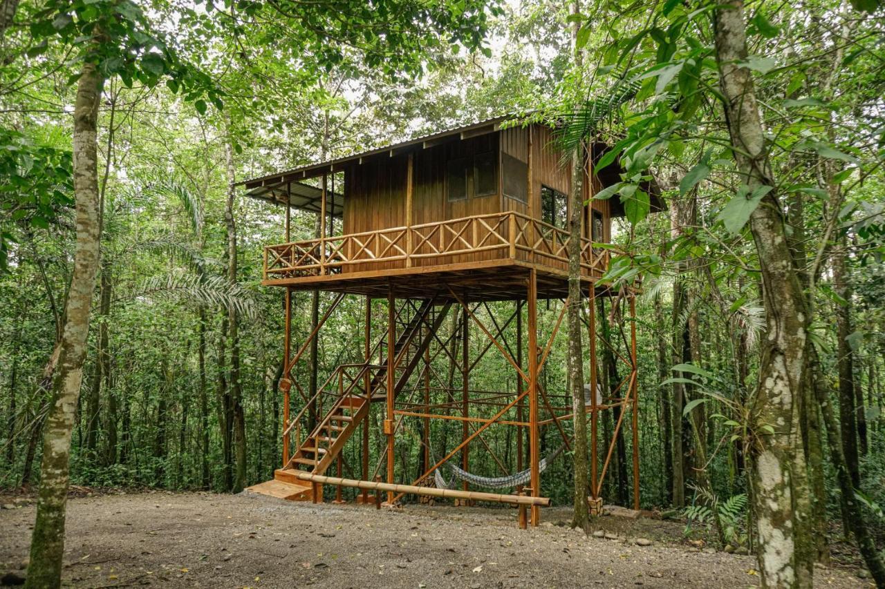 Tree Houses Hotel Costa Rica Florencia Exterior foto
