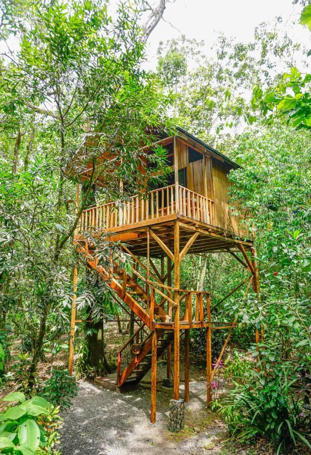 Tree Houses Hotel Costa Rica Florencia Exterior foto