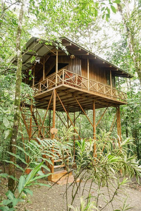 Tree Houses Hotel Costa Rica Florencia Exterior foto