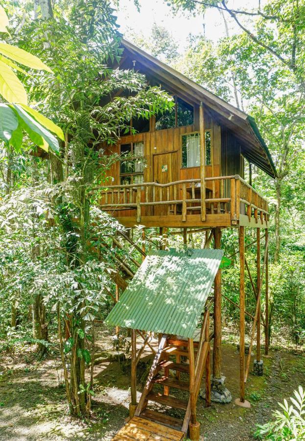 Tree Houses Hotel Costa Rica Florencia Exterior foto
