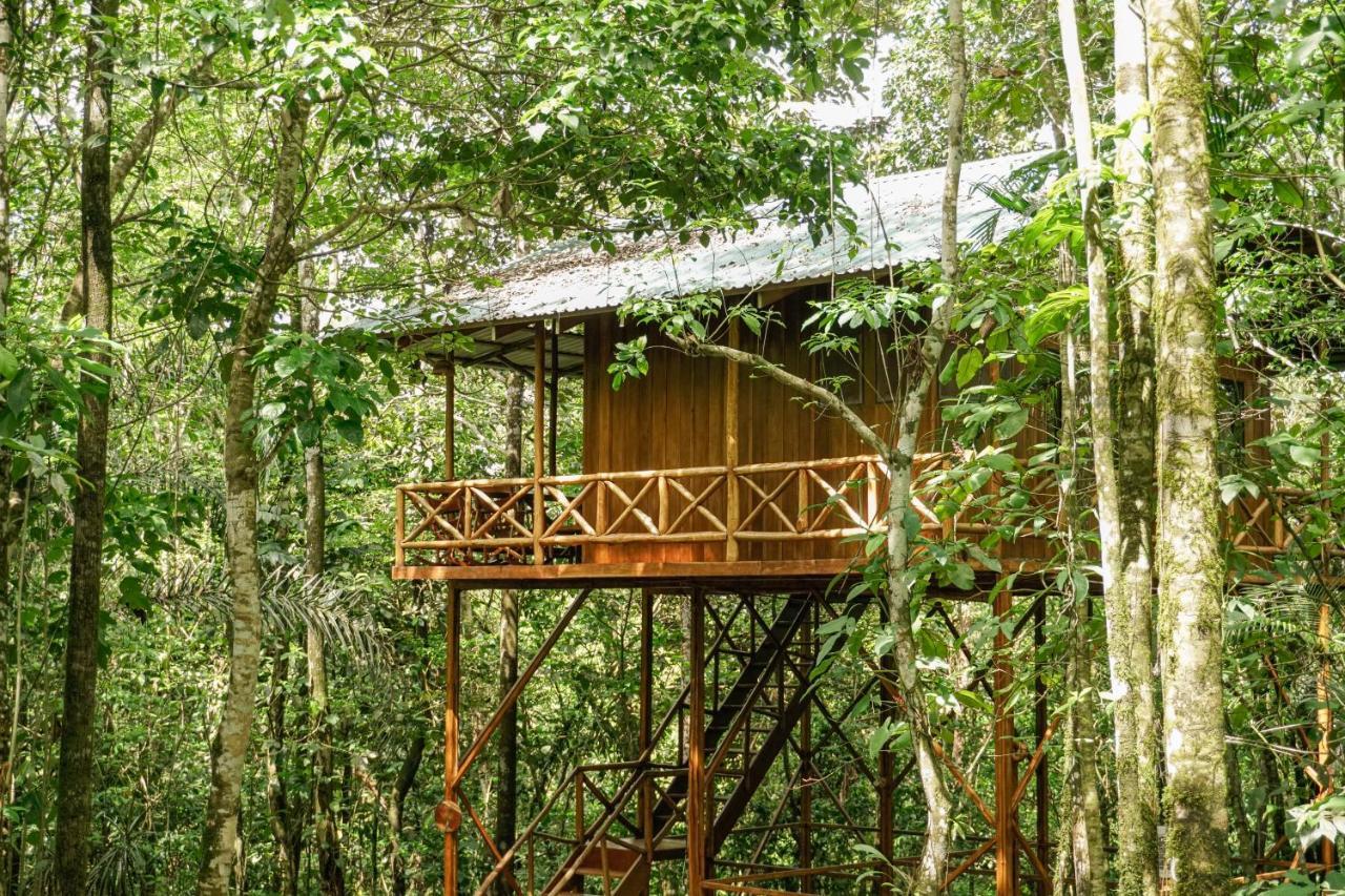 Tree Houses Hotel Costa Rica Florencia Exterior foto