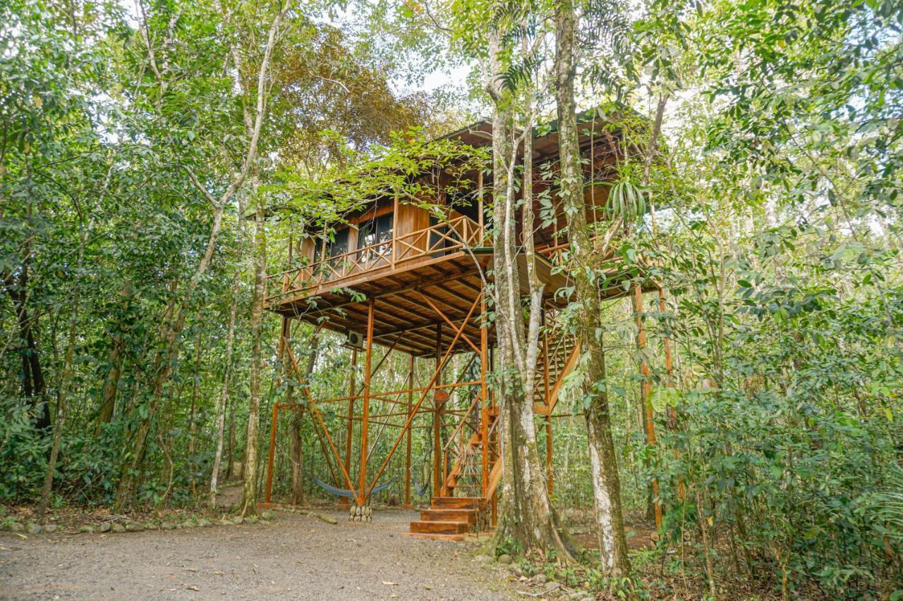 Tree Houses Hotel Costa Rica Florencia Exterior foto