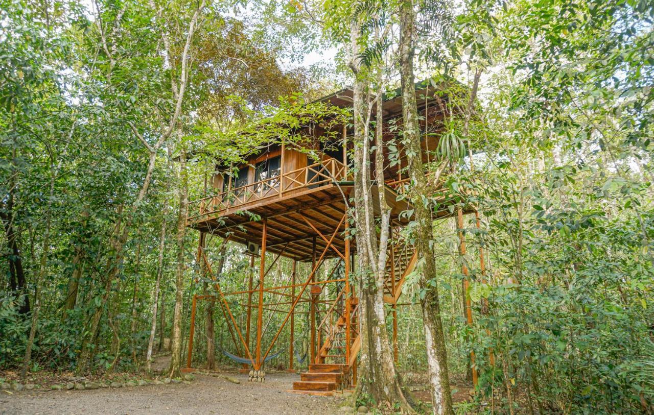 Tree Houses Hotel Costa Rica Florencia Exterior foto